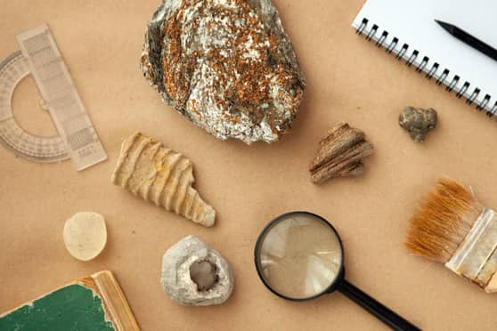 How To Study Geology Institutes Courses And Job Prospects Telegraph 