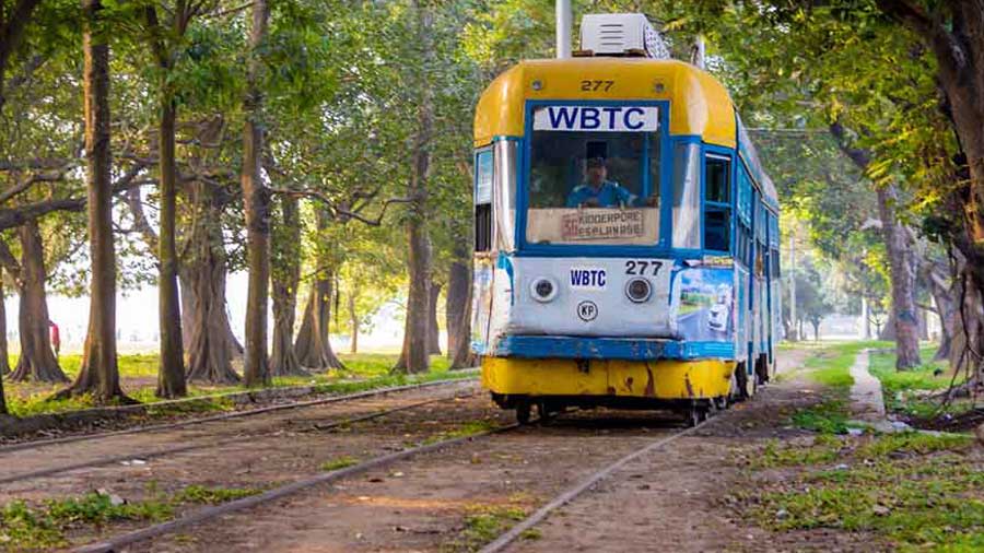 The Esplanade to Kidderpore route is kinds of picturesque