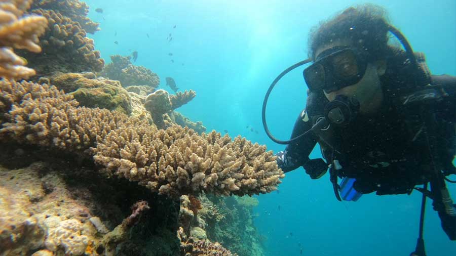 To understand climate change underwater, you need to see it: Vidhi Bubna