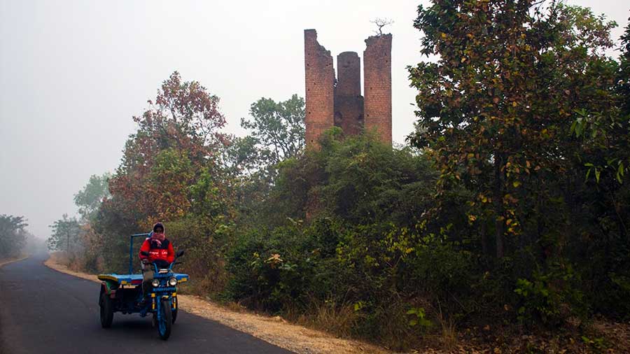 The area is part of an afforestation programme of the West Bengal Forest Department