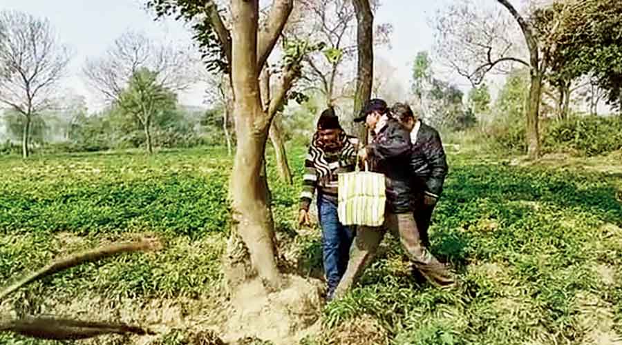 Forest officers inspect the area from where trees were stolen  at Mubarakganj in West Burdwan. 