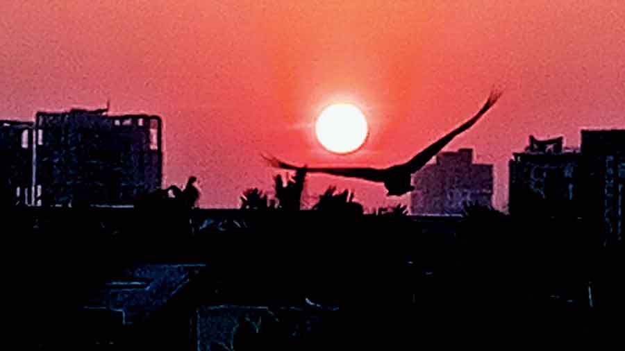 Debanjana Ghatak, Labony Estate