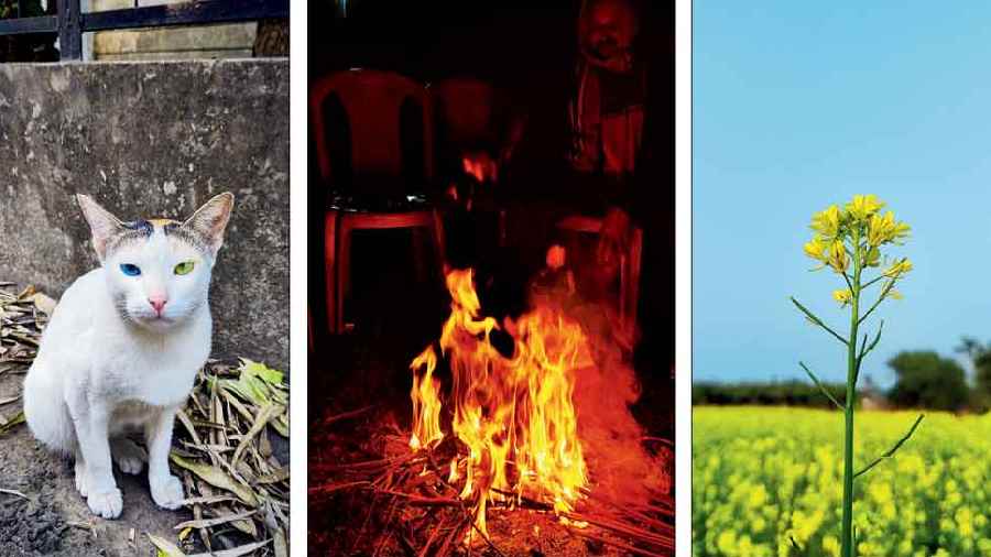 Souradip Mazumder, SA Block