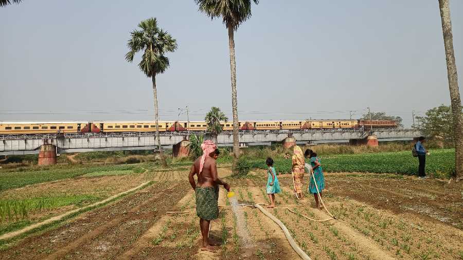 The railway bridge beyond the farms.
