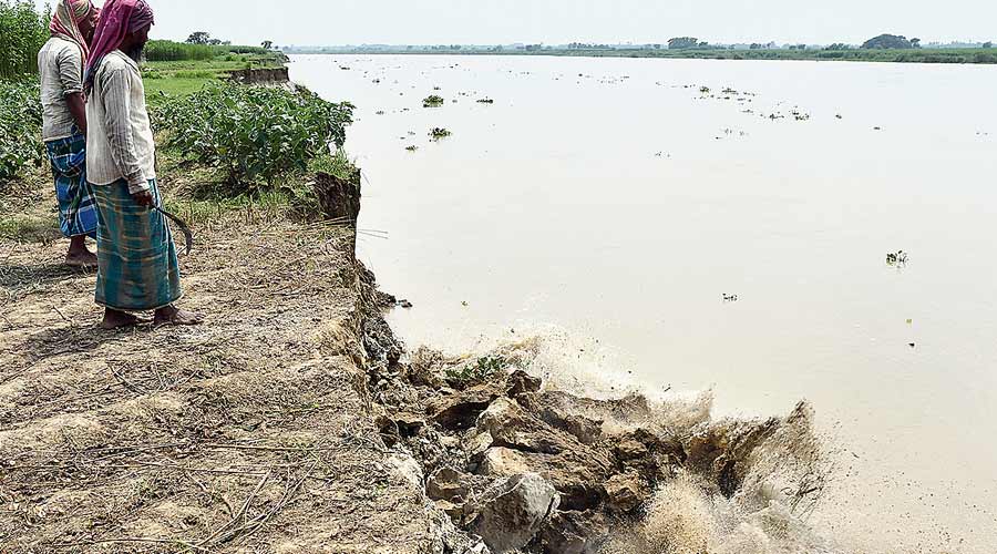 An eroded bank of the Ganga in Nadia district. 