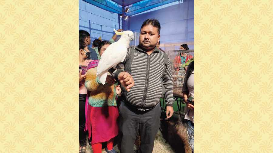 A man holds up a Cockatoo on his arm.