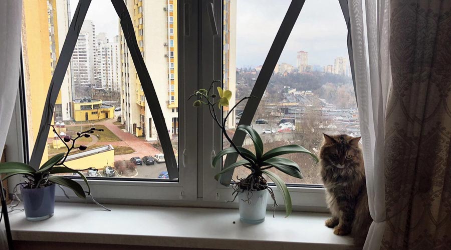 A photograph sent by Nataliia S of her home in Kyiv before she shifted to the basement parking lot