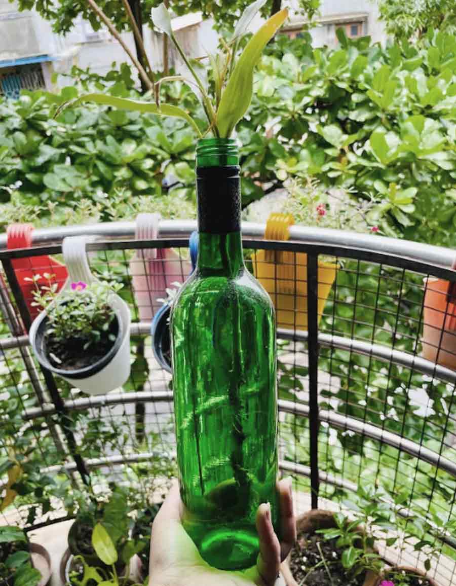WINE BOTTLES: Glass wine bottles, given their height, make for great decorative planters. Paint, scuff or crack it to build a terrarium inside and let it stand in your kitchen or drawing room to add a leafy accent to the decor. 