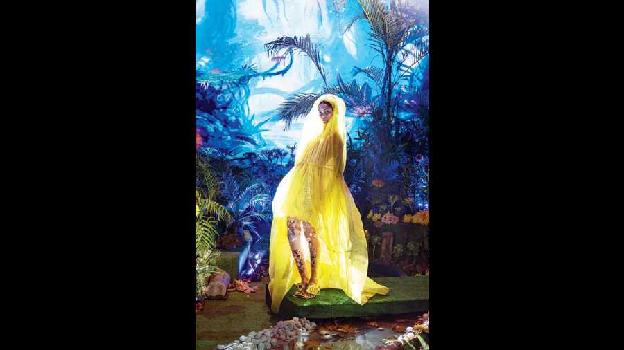 Rahul Mishra's The Enchanted