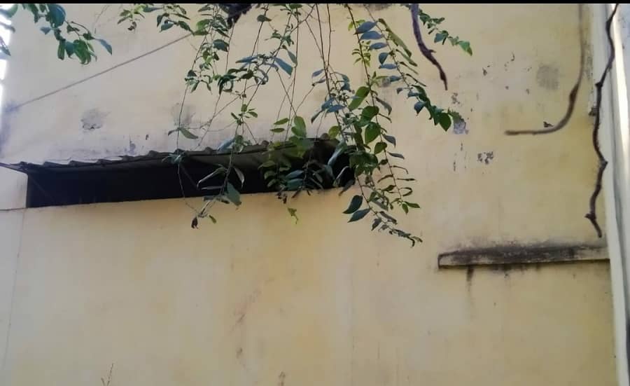 The ventilator through which the escapade happened