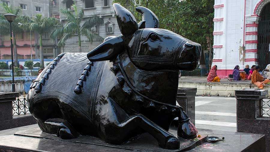 A statue of Nandi the bull was installed recently between the two temples 