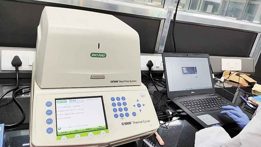 The Biorad CFX 96 machine that uses real time PCR methods to test swab samples for Covid, at the same lab. 