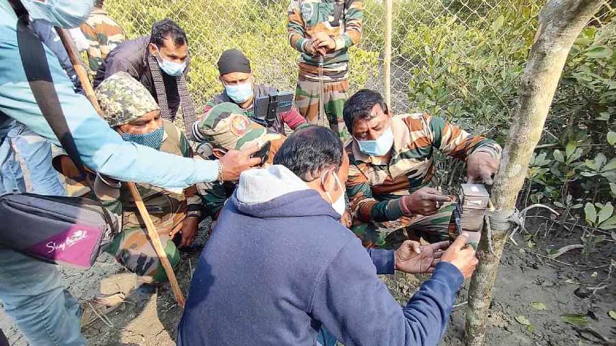 Sunderbans date for national tiger census