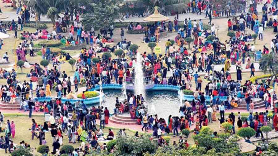 Winter crowds at Eco Park