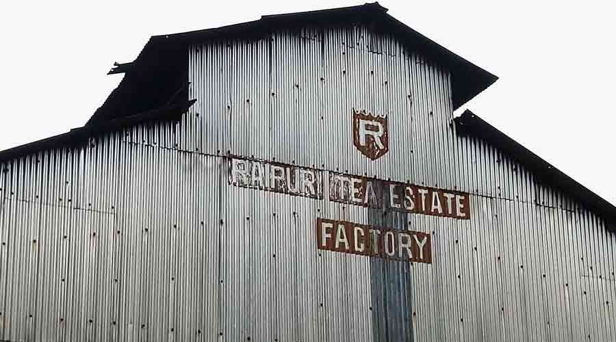 Factory of the shut Raipur tea garden. 
