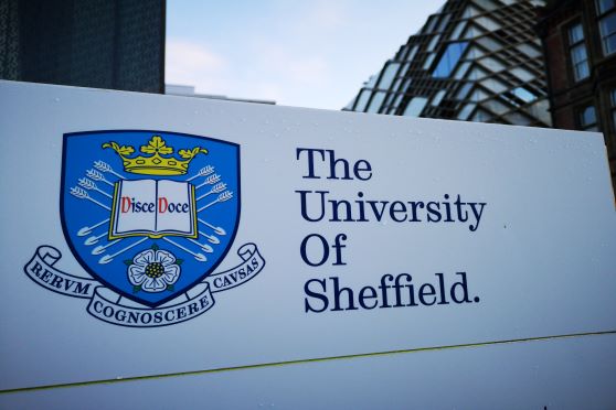 The scholarship can be availed for several courses affiliated to the Sheffield Institute for International Development.