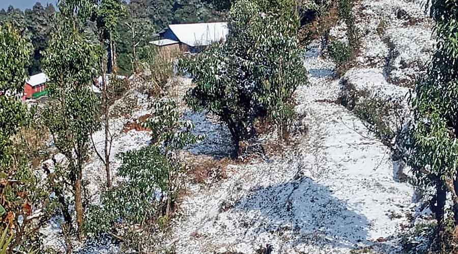Mercury drops below one degree, Darjeeling experiences coldest day