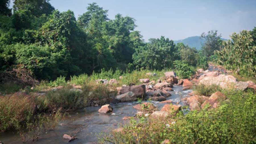 A stream threads its way through Simlipal National Park 