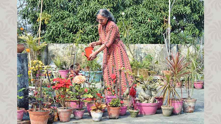 Kajal Sen waters flowers on her terrace. 