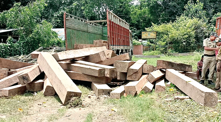 Timber seized by the state forest department in Raiganj.