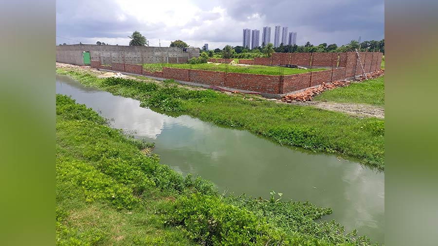  Local residents allege that rampant land grab continues on East Kolkata Wetlands 