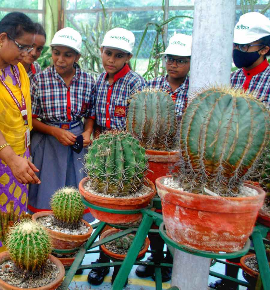 Students take a look at cacti at an event held at the Eden Gardens on the occasion of ‘Van Mahotsav’ on Thursday. It is a weeklong tree-planting festival annually celebrated in India. 