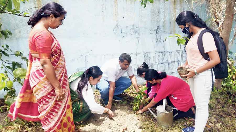 A fruit tree being planted on the Birati campus.