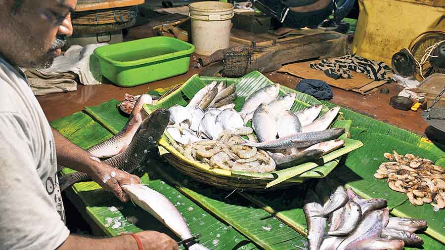 Fish being sold at Hatibagan market on Monday. 