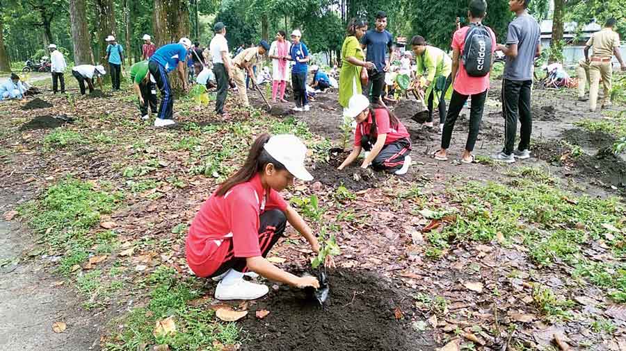 Students plant saplings at the plot recovered by the state forest department in Kholachandfafri on Wednesday. 