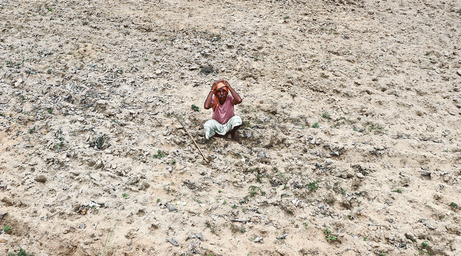 A farmer sits dejected on his parched field at Gangapur village in Dhanbad district on Sunday.