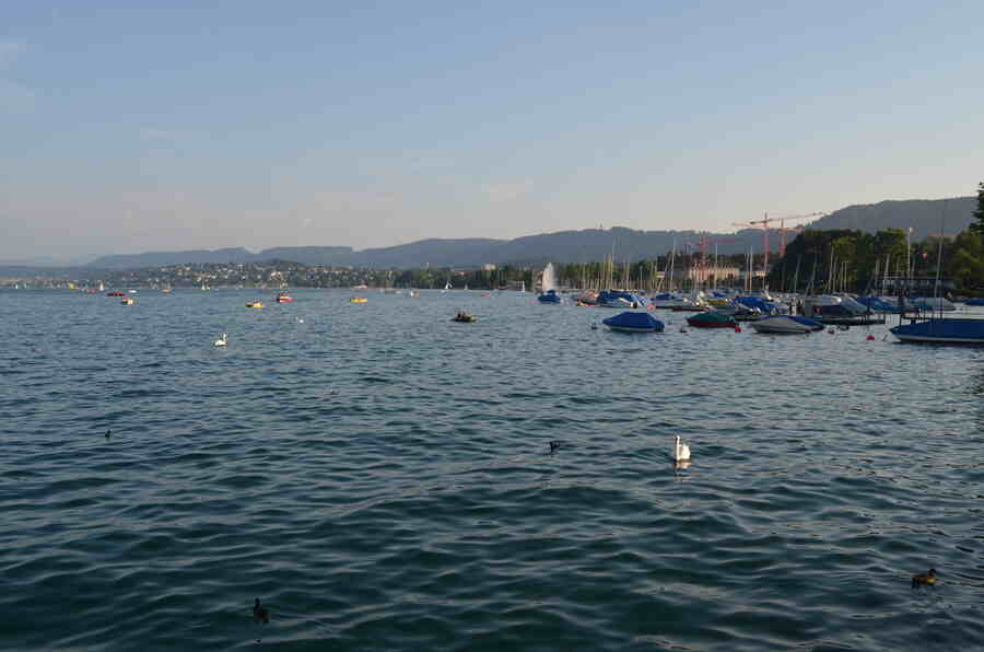 Raspberries and a lazy afternoon by Lake Zurich: Fresh produce is one of the things to indulge on a Swiss trip. Bread, cheese and a box of ruby raspberries are the ideal essentials for a laidback late afternoon picnic on the benches by the lake watching swans and boats bobbing on the azure water