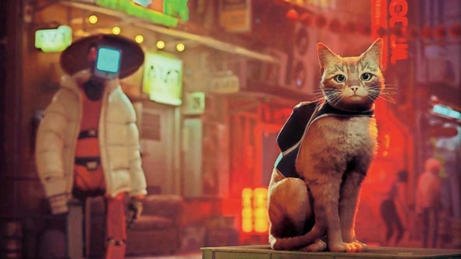 The Awesome Kitty Cyberpunk Video Game Adventure Stray Is Becoming