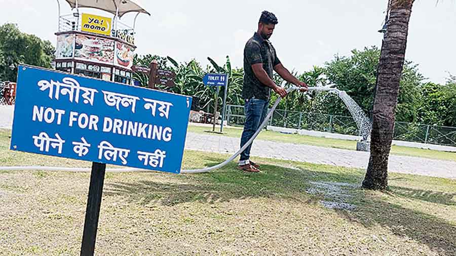 An Eco Park employee waters a lawn using recycled water drawn from a sewage treatment plant.