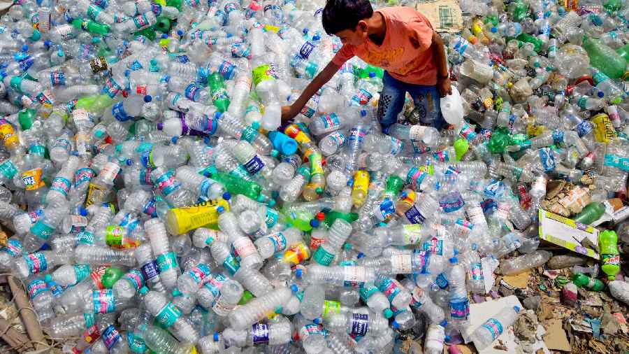 Rag-picker collects waste plastic bottles on the eve of World Environment Day in Prayagraj