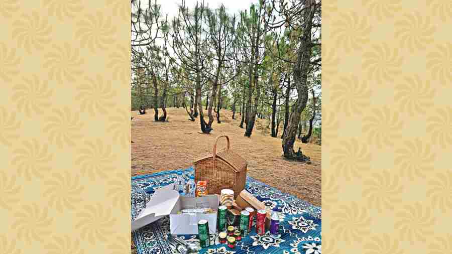 A picnic on the meadow nearby, organised by the hotel, a must staying at the property