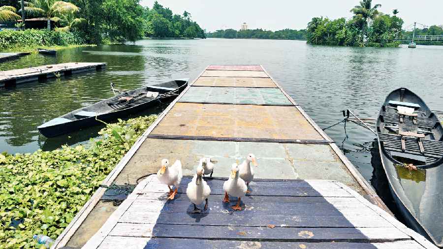 Lalbazar suggests SOP to Lake clubs: Specialised training &amp; capsize drill for learners 