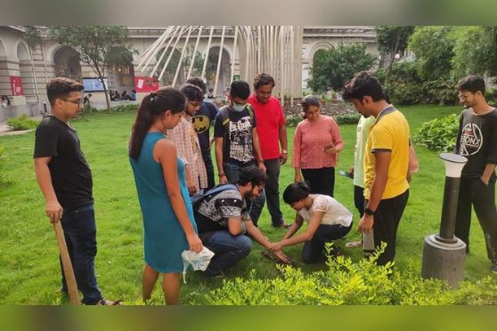 Presidency University students planted 30 saplings across the College Street campus a day ahead of World Environment Day. 