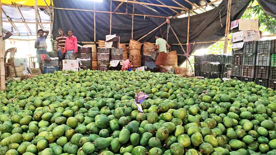 Produce from surrounding orchards heaped at Dakkhinakali wholesale market near Majdia in Nadia