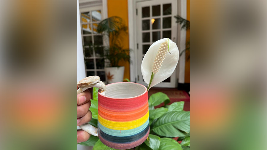 Pride Month Special: Roastery’s hand-made ceramic rainbow mugs 