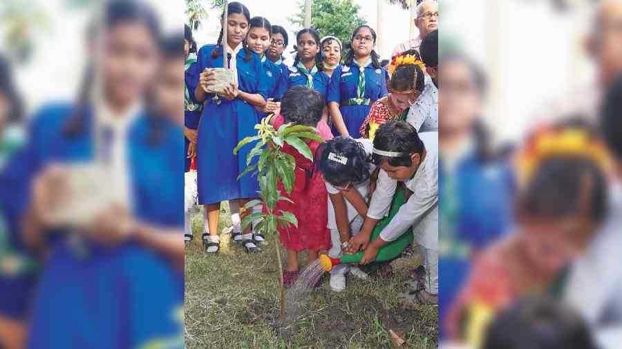 The tree plantation drive at Bidhan Sishu Udyan. 