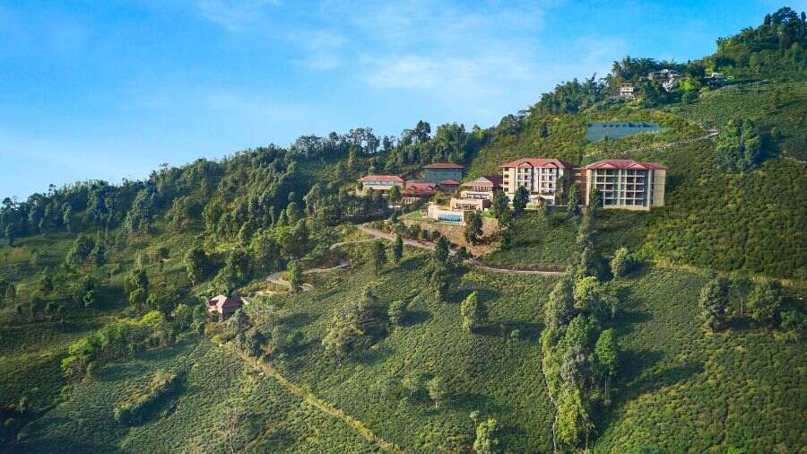 Taj Chia Kutir Resort & Spa, Kurseong, which opened a year and a half ago, is nestled amidst the Makaibari tea estate