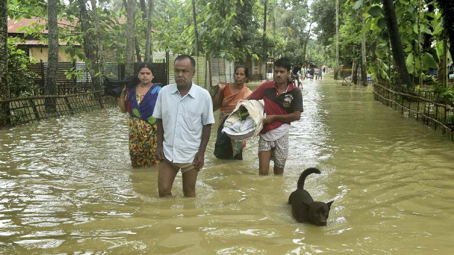 Assam: Flood ceases to recede