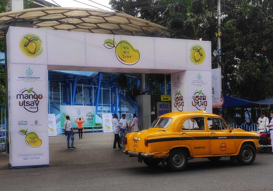 Mango Utsav 2022 begins at Netaji Indoor Stadium from Thursday. The festival has been organised by the Indian Chamber of Commerce along with the Department of Food Processing Industries & Horticulture, Govt of West Bengal