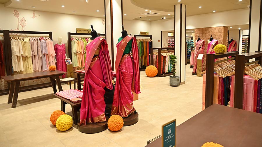 Taneira's handloom sari solutions | Latest News | The Hindu