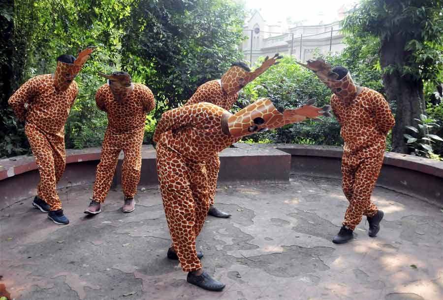 Zookeepers dressed as giraffes pose for photos on the occasion of World Giraffe Day at the Alipore zoo on Tuesday, June 21.