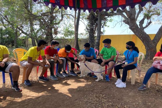 Students enjoyed spending time with the dogs at the Upaghna rehab retreat.