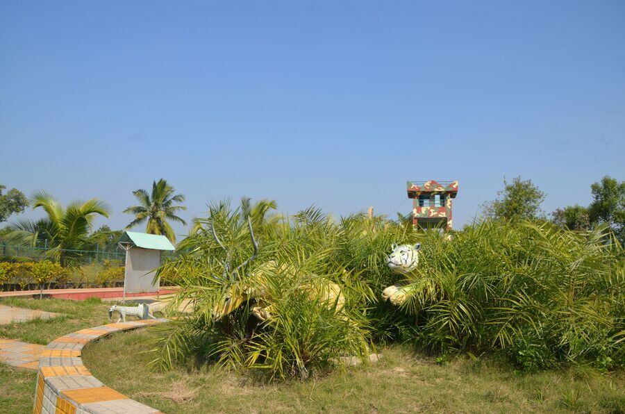 The Netidhopani jetty, a gateway to the forest’s core area, is a well-constructed site for visitors to disembark. A watchtower offers a view of the jungle’s only potable watering hole, and a small park with statues and information boards highlight the rich flora and fauna, including showing the hunting style of a tiger in the Sunderbans 