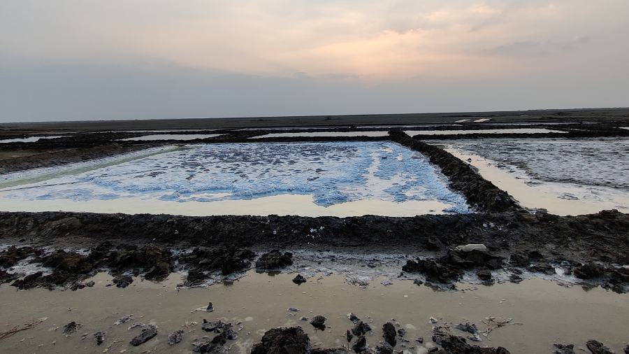 The Rann of Kutch is a seasonal salt marsh located in the Thar desert in Gujarat
