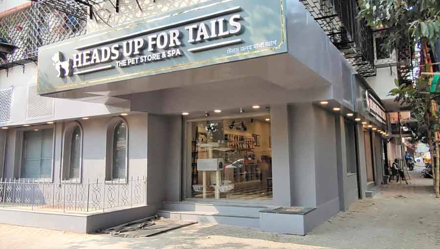 Located at 110 Southern Avenue (near Lake Kali Bari), the Heads Up For Tails Store & Spa boasts a wide range of offerings from treats to toys. The store houses 65+ brands like Whiskers, All For Paws, Trixie, Outward Hound and more 