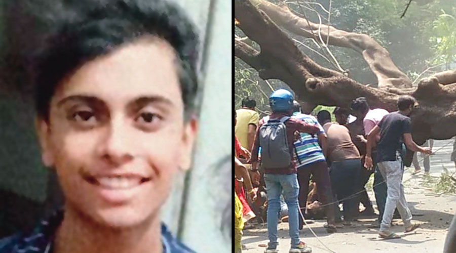 Siddhartha Mandal (left), who was on a scooter, being pulled out from under the uprooted gulmohar tree